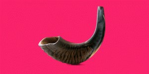 Horn condom