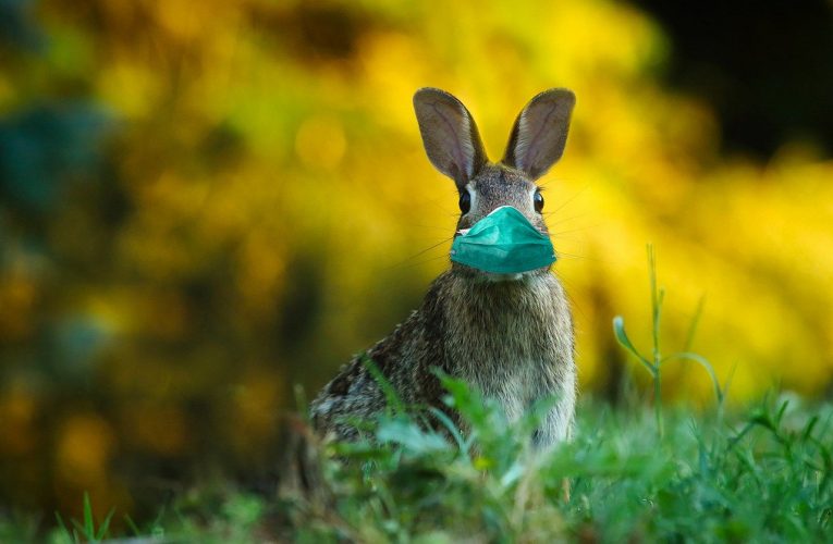 Easter and Sex: What is the Relationship?