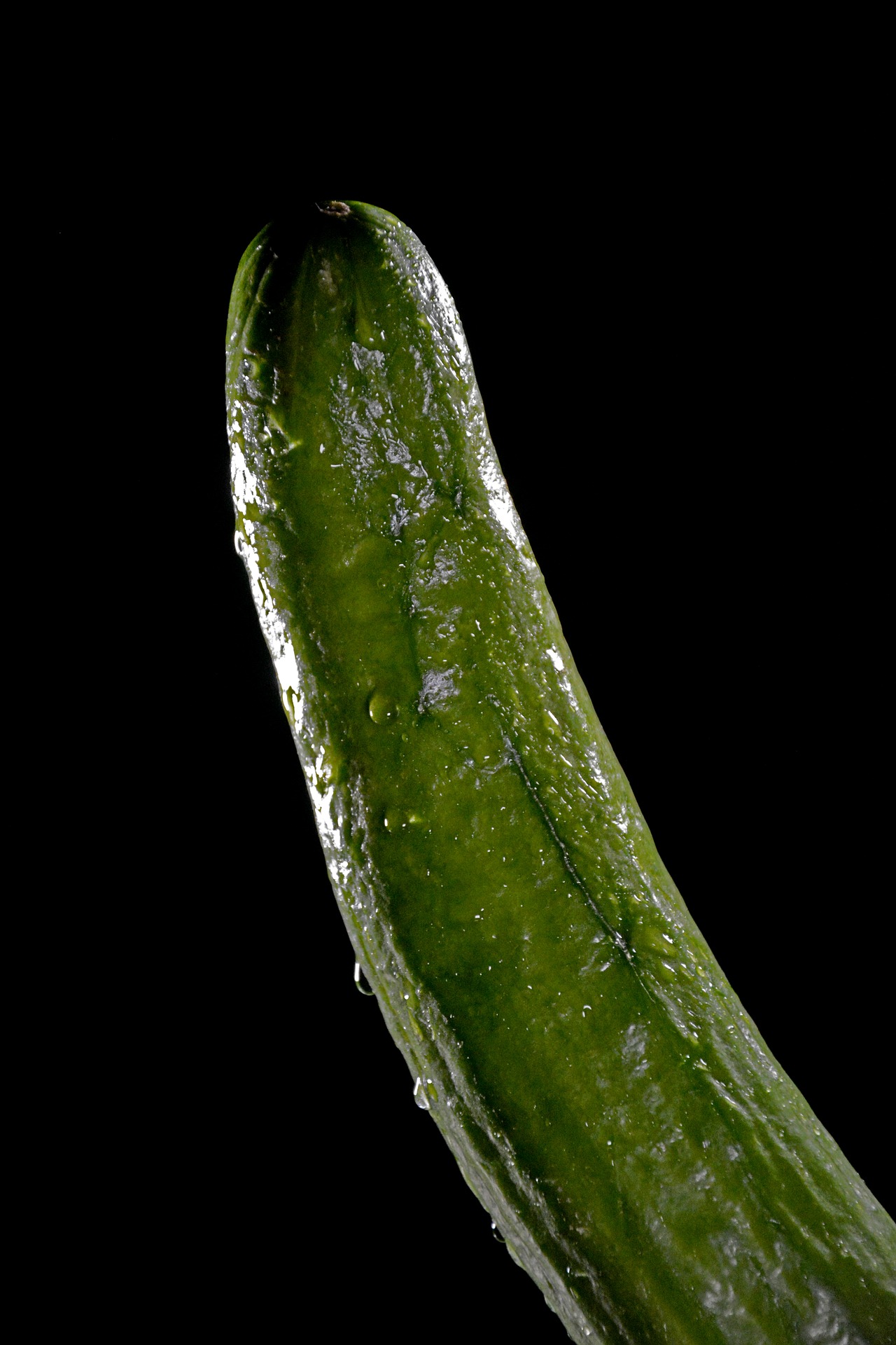 penis