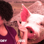 Man who went AWOL shows up with pig to drive away Muslim wife