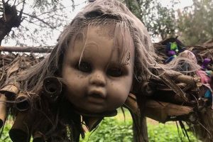 Island of the Dolls. (Daily star)