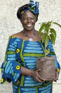 Wangari Maathai. (Daily News)