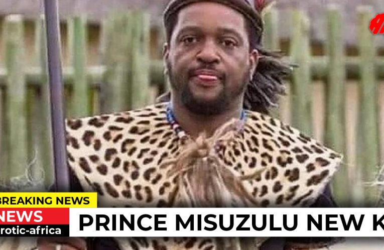 Meet Africa’s latest King – Prince Misuzulu