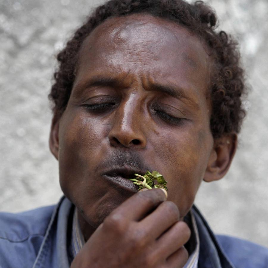 A somali man chewing Miraa. (Quarts)