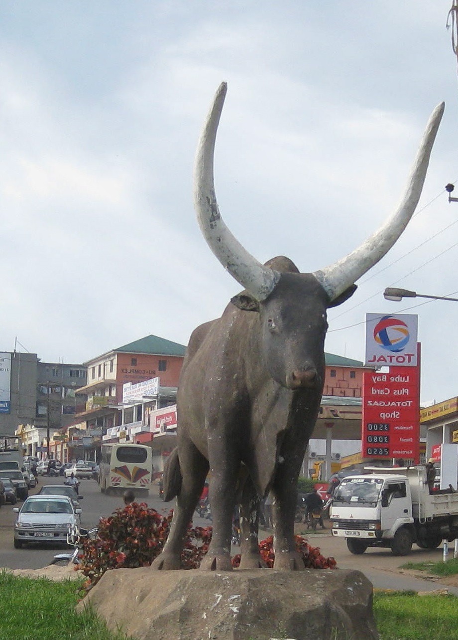 Prime Uganda safaris