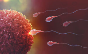 Voilà: Scientists unveil male contraceptive pill with 99 percent effective rate. (Fertility Charting)