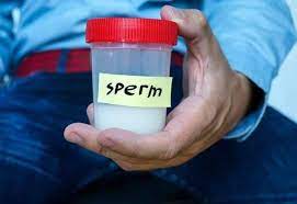 Voilà: Scientists unveil male contraceptive pill with 99 percent effective rate. (Facebook)