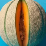 loose vagina