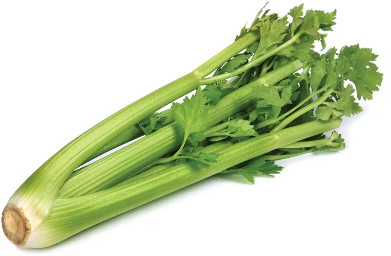 Celery can improve your vagina taste