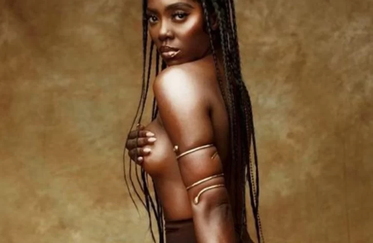 Free The Titties: (VIDEO) Tiwa Savage Flaunts Her Nipples At An Event