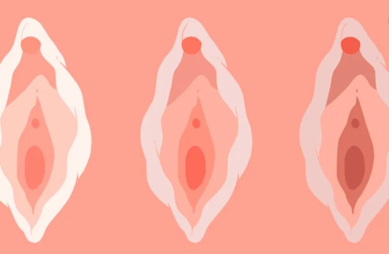 Hairy Black Pussy And 7 Other Types of Pussies That  Men Love To Fuck