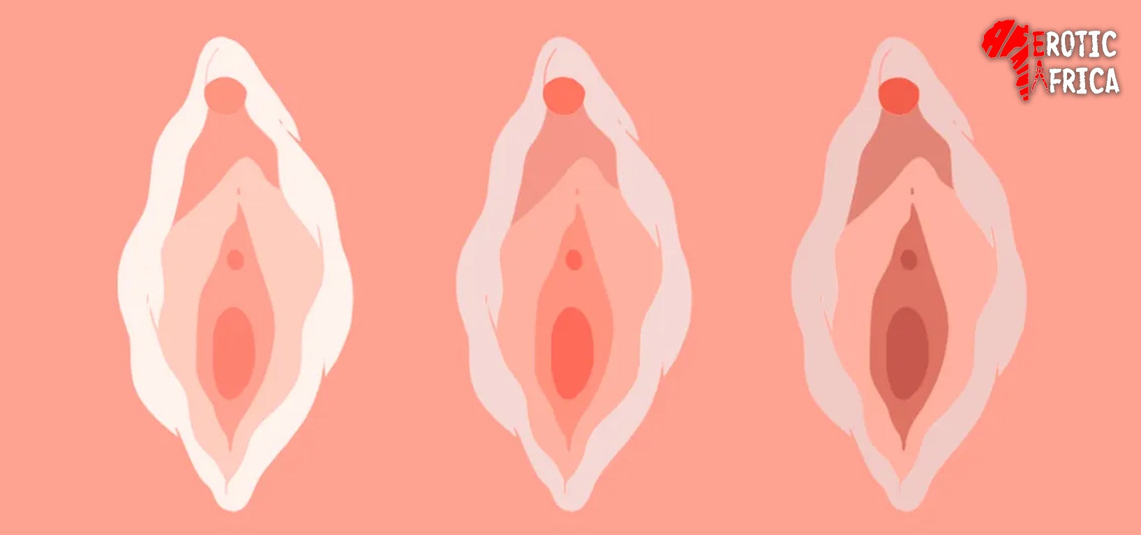 Types of pussies men love to smash