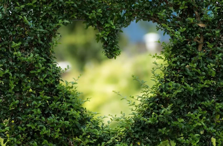 Sex In The Bush: City Dwellers Turn Thickets Into Green Lodging