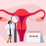 Understanding The Menstrual Phases: How To Avoid An Irregular Menstrual Cycle 2