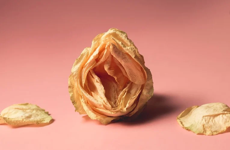 Here Are Reasons Why Your Vagina is Dry During sex
