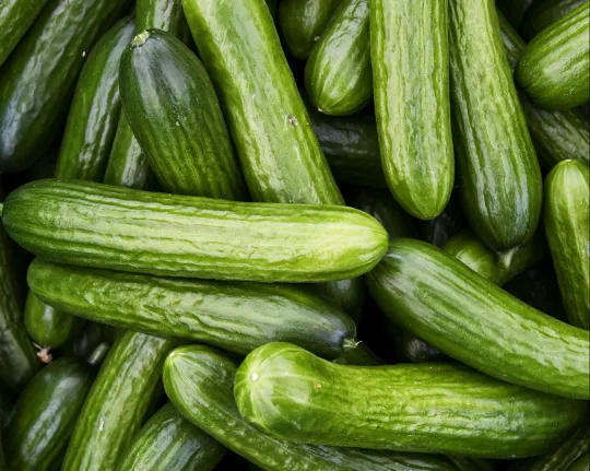 The Dangers of Vaginal Cleansing With Cucumbers