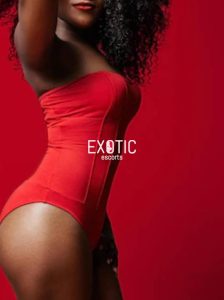 Escorts and Nightlife in Botswana