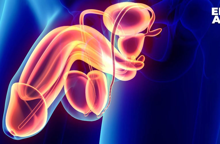 Penis Captivus: A Rare But Harmless Medical Condition—Not Witchcraft