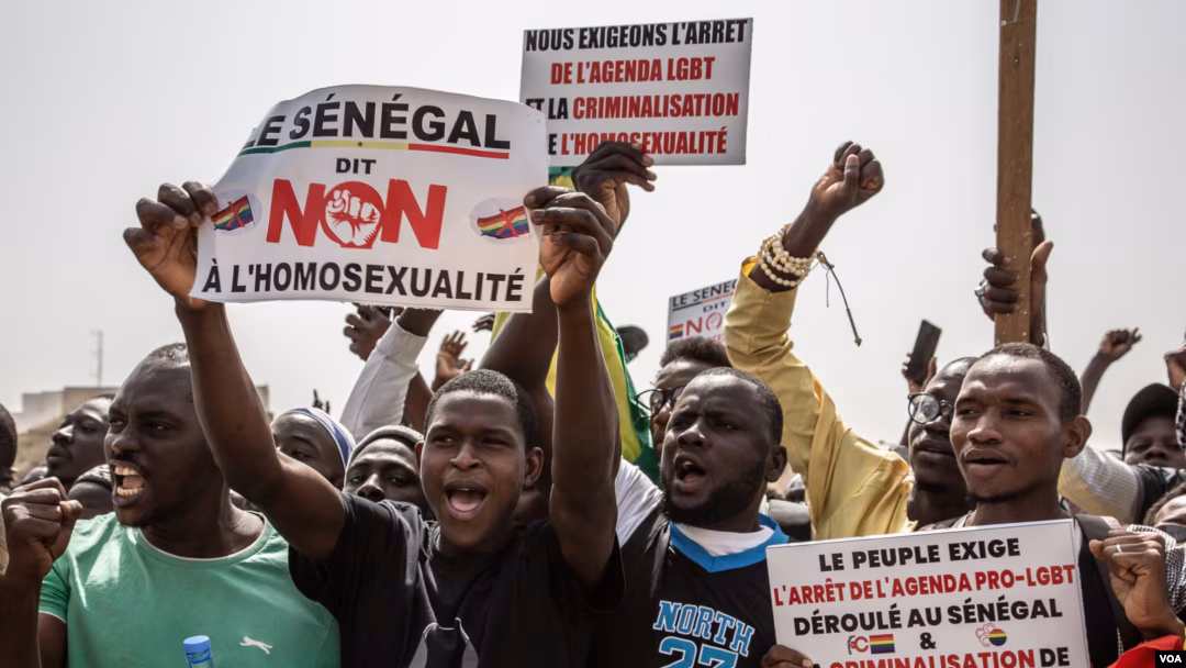 senegal homosexuality law
